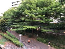 Blk 308B Punggol Walk (Punggol), HDB 5 Rooms #521877141